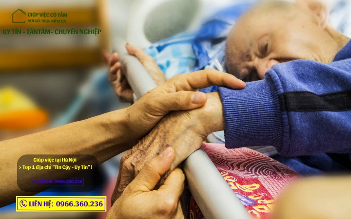 Giúp việc chăm người già: "Bẫy Tâm Lý" Đừng để kẻ xấu lợi dụng lòng thương của bạn