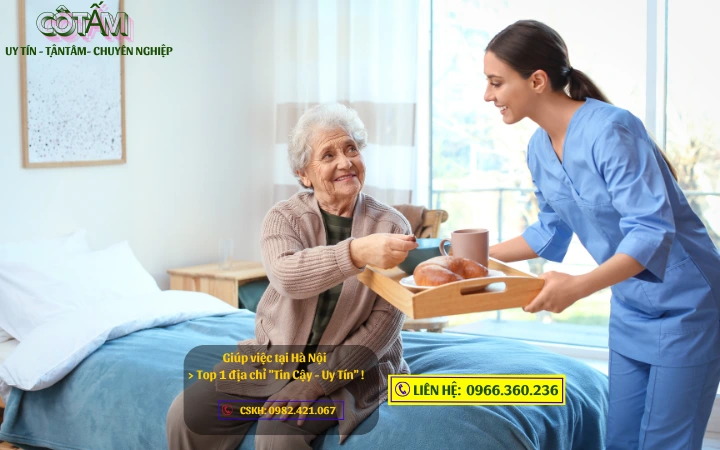 Chia Sẻ Kinh Nghiệm Thuê Giúp Việc Hà Nội: Bí Quyết Tìm Được Người Phù Hợp Nhất