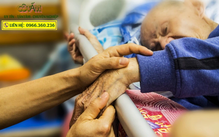 Giúp việc chăm sóc người già với tình yêu thương và sự kiên nhẫn