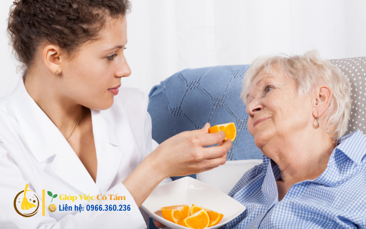 Những địa chỉ uy tín để tìm người giúp việc trông người già.