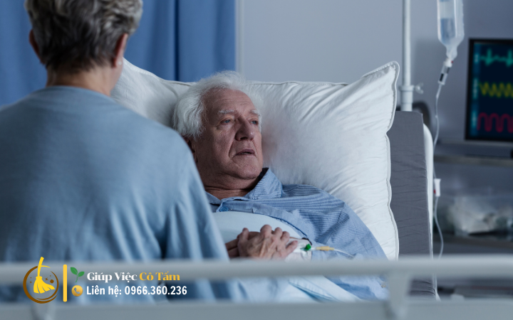 Yếu tố nào quyết định mức giá thuê giúp việc chăm người già ?