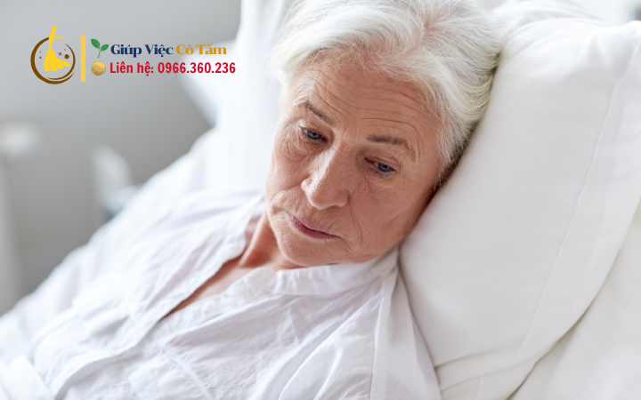 Chế độ dinh dưỡng hoàn hảo cho người già tại nhà