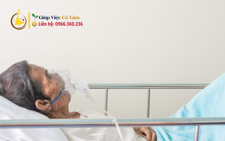 Dịch vụ chăm sóc người già tại nhà: Gợi ý thực đơn lành mạnh