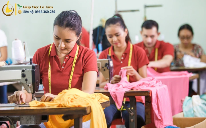 Cung ứng nhanh nguồn nhân sự chất lượng