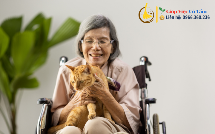 Phương pháp tối ưu chăm sóc người già mất trí nhớ.