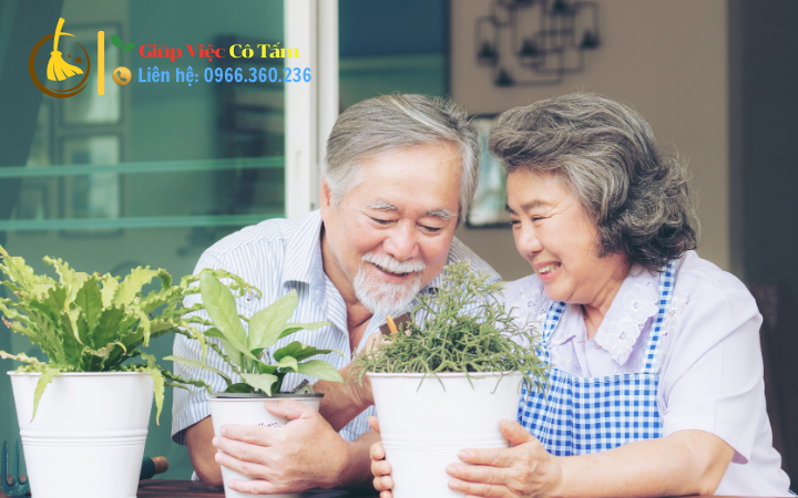 Chăm người già sống một mình và phát triển đời sống tinh thần.