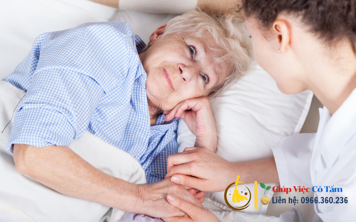 Những hoạt động chăm sóc tinh thần cho người già thú vị.