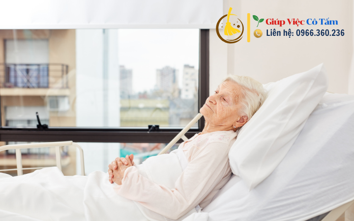 Khám phá chăm sóc người già liệt giường cần thiết.