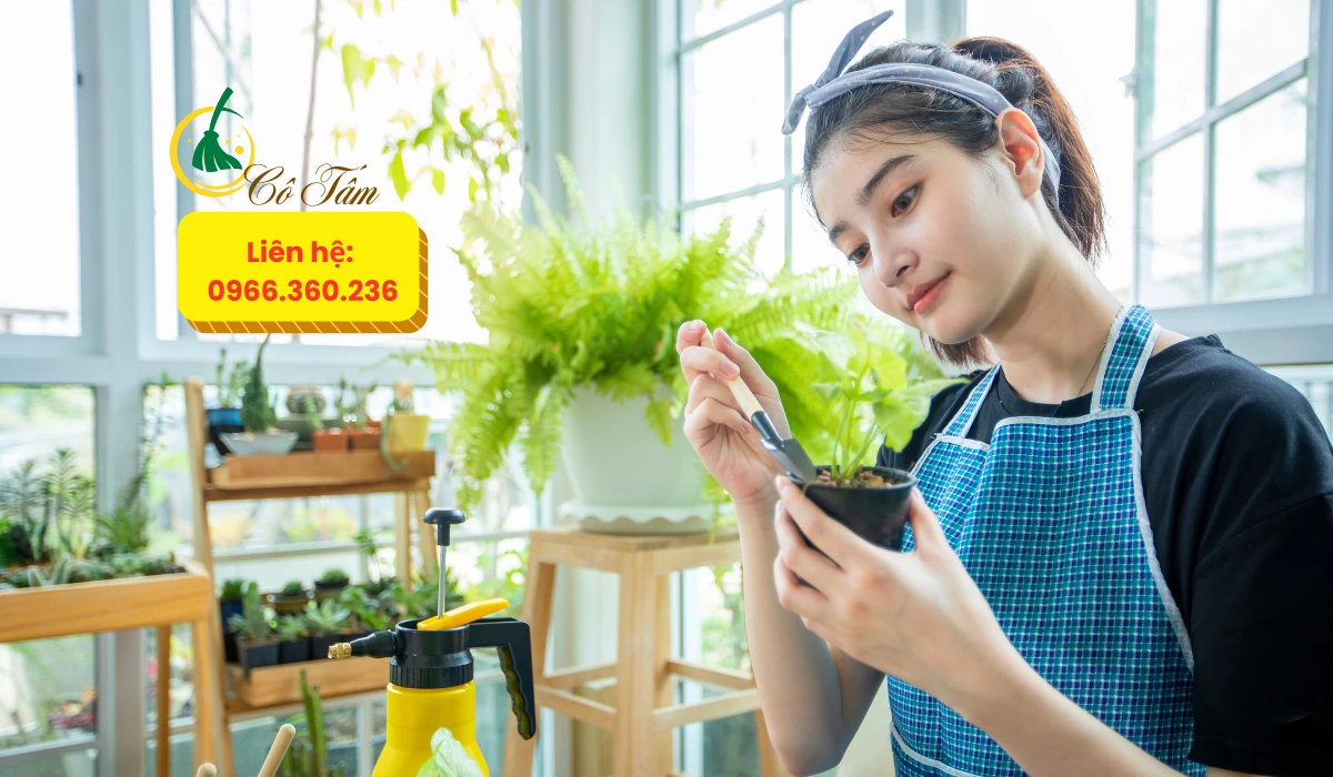 Dịch vụ giúp việc tỉnh Hưng Yên uy tín, chất lượng tốt nhất