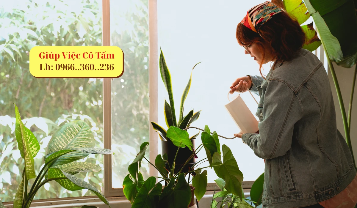 Bảng báo giá thuê người giúp việc tại Hưng Yên
